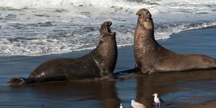 Employee conflict resolution