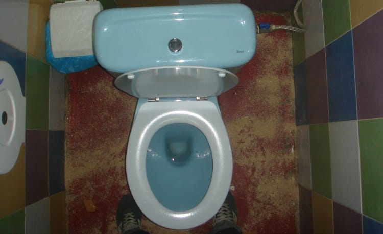 What Do Your Coworkers Know About Toilets?