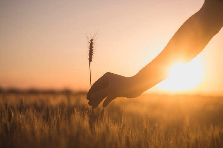 plant your seeds and reap the change you created.